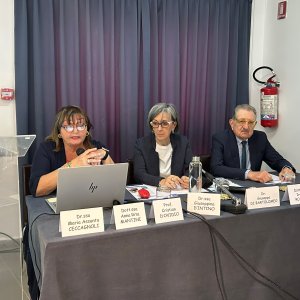 4. relazione ceccagnoli